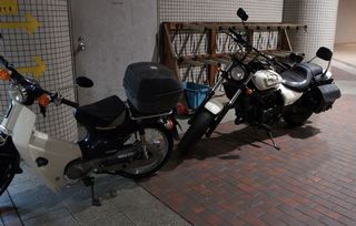 DSC01727.JPG