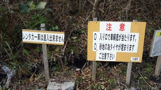 DSC01798.JPG